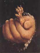 Lorenzo Lotto Man with a Golden Paw (mk45) painting